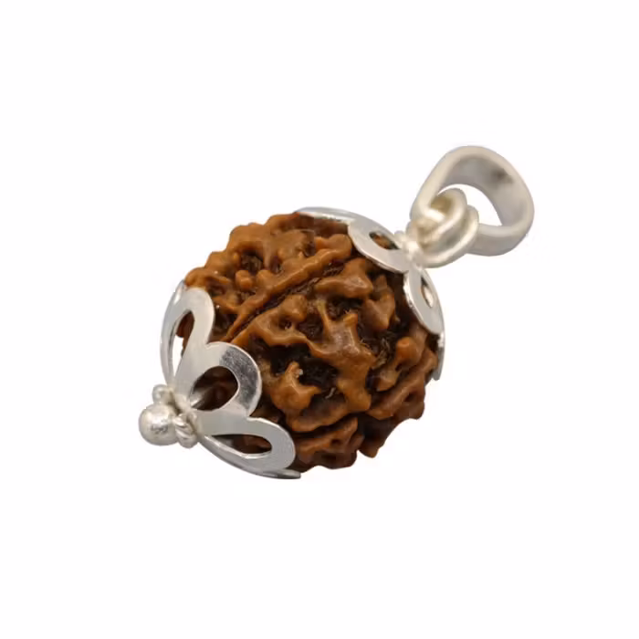 Rudraksha